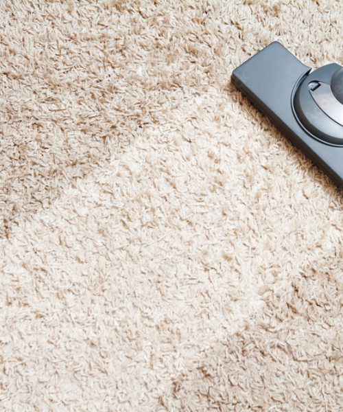 include the long beige carpet cleaning with a vacuum cleaner