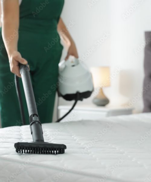 Janitor cleaning mattress with professional equipment in bedroom, closeup