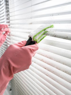 Person Cleaning Window Blinds