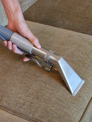 Upholstery Cleaning of Sofa Cushion